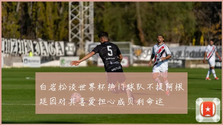 白岩松谈世界杯热门球队不提阿根廷因对其喜爱担心成贝利命运